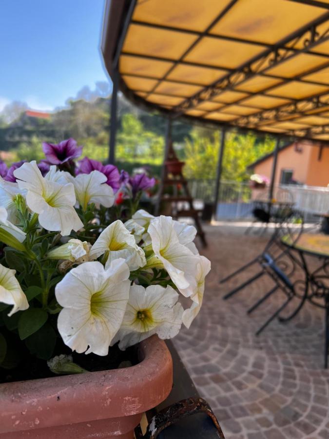 Mamaral Hotel Agerola Exterior photo